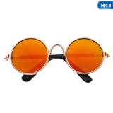 Summer Cool Colored Sunglasses